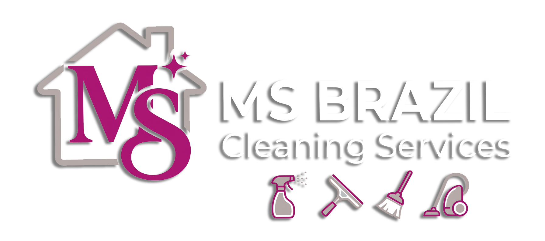 MS Brazil Cleaning Logo